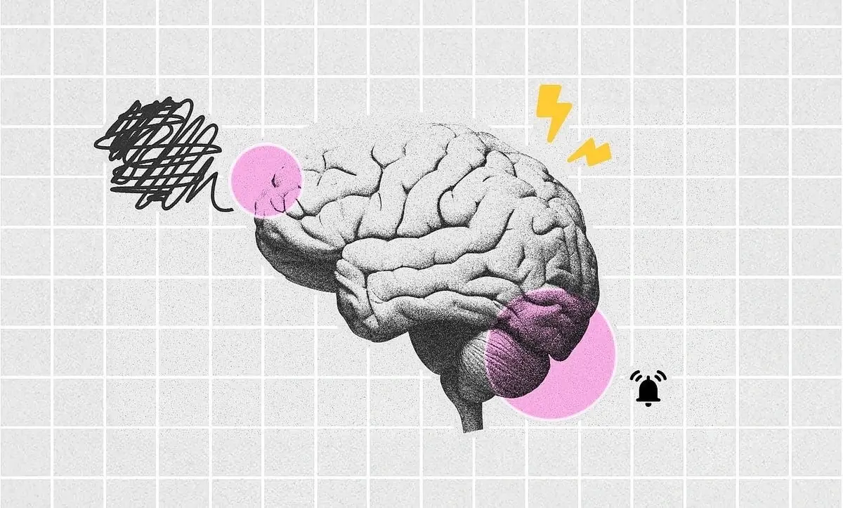 IQ Brain Illustration